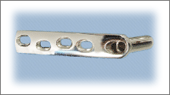 Dynamic HIP & Condylar Implant