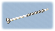 Malleolar Screw 4.5mm