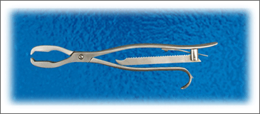 Lane's Bone Holding Forceps With Ratchet 