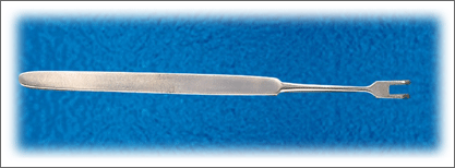 Skin Hook Two Prong 